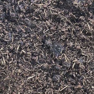Mushroom Compost